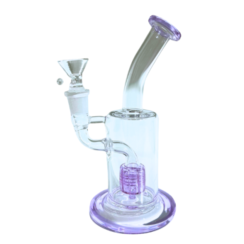 (全新) 20cm 大紫灣 BONG