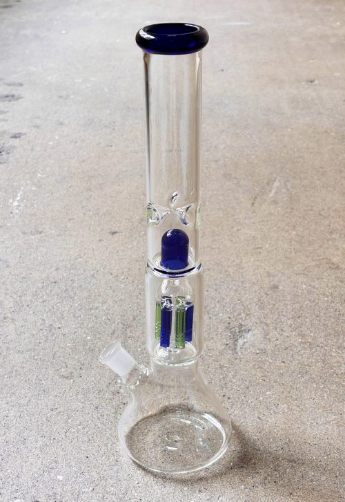 藍綠水母Bong