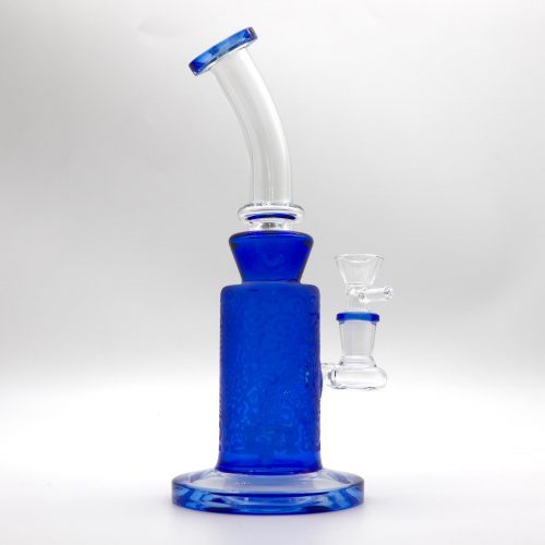 VBGSS008