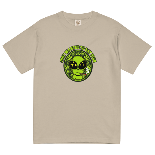 BIG ALIEN 輕質棉質 T Shirt – 啡色