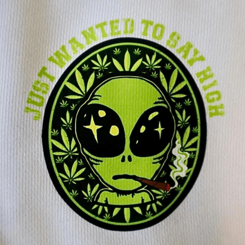 SMALL ALIEN 重磅混紡連帽衫 Hoodie