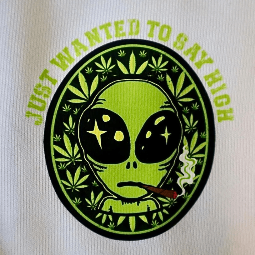 SMALL ALIEN 重磅混紡連帽衫 Hoodie